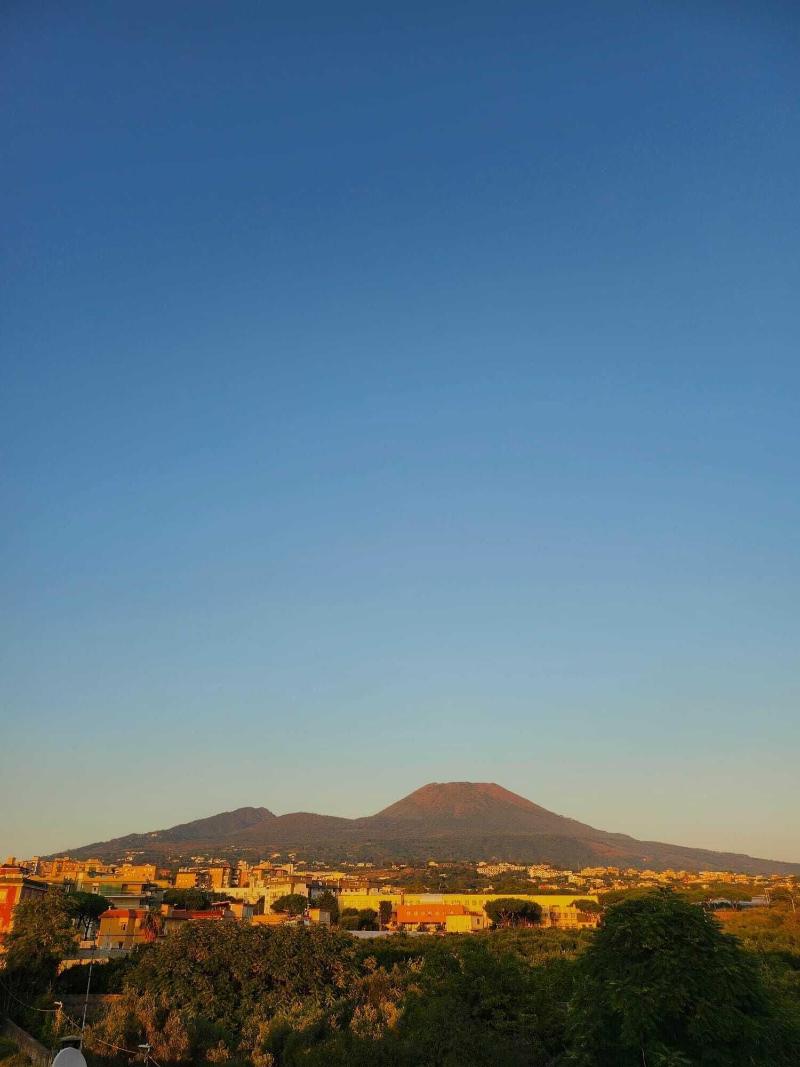 Sirenaresina image