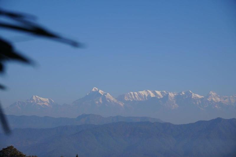 The Dharmas Resort image