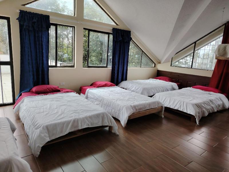The Dream House image