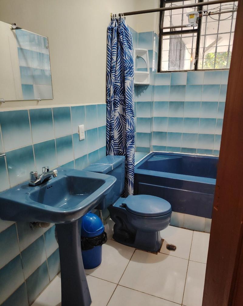 The Dream House image