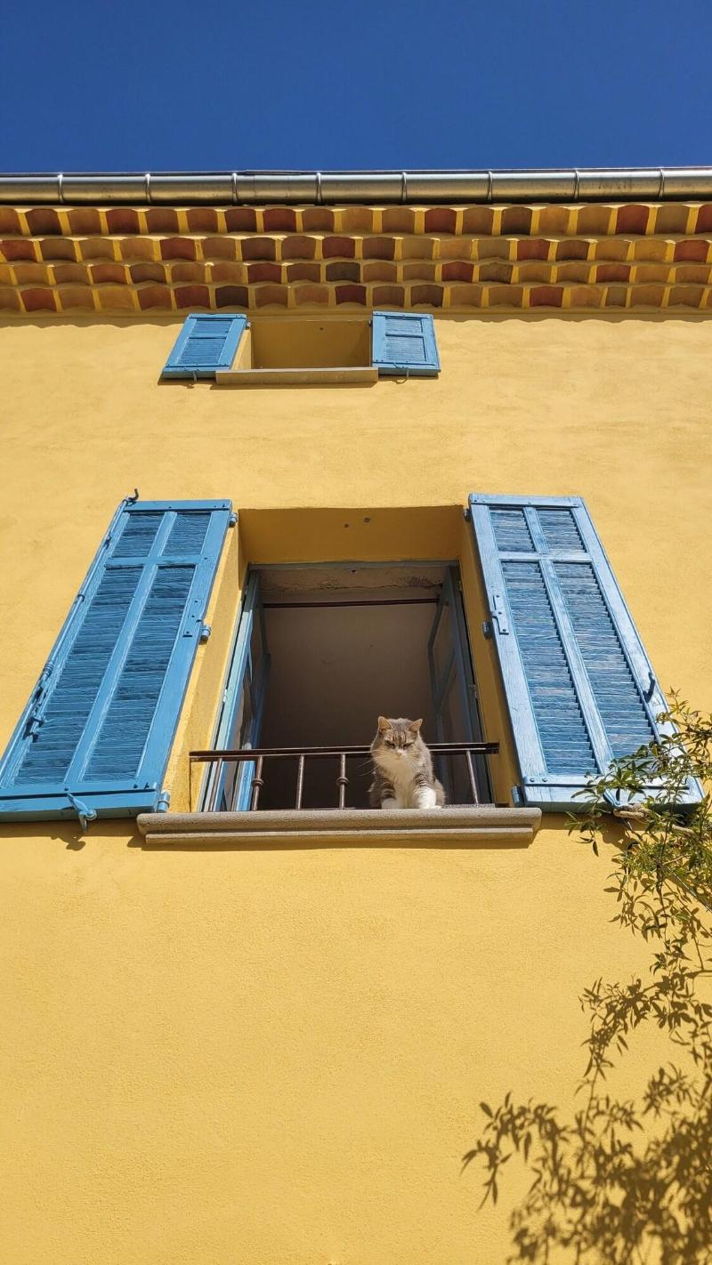 Domaine De La Cascade Parfuma E