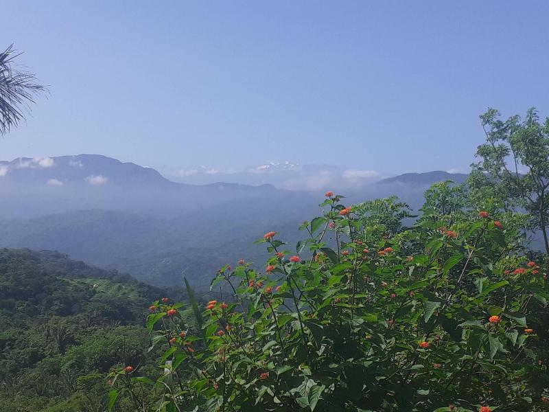 La Cima Tayrona image