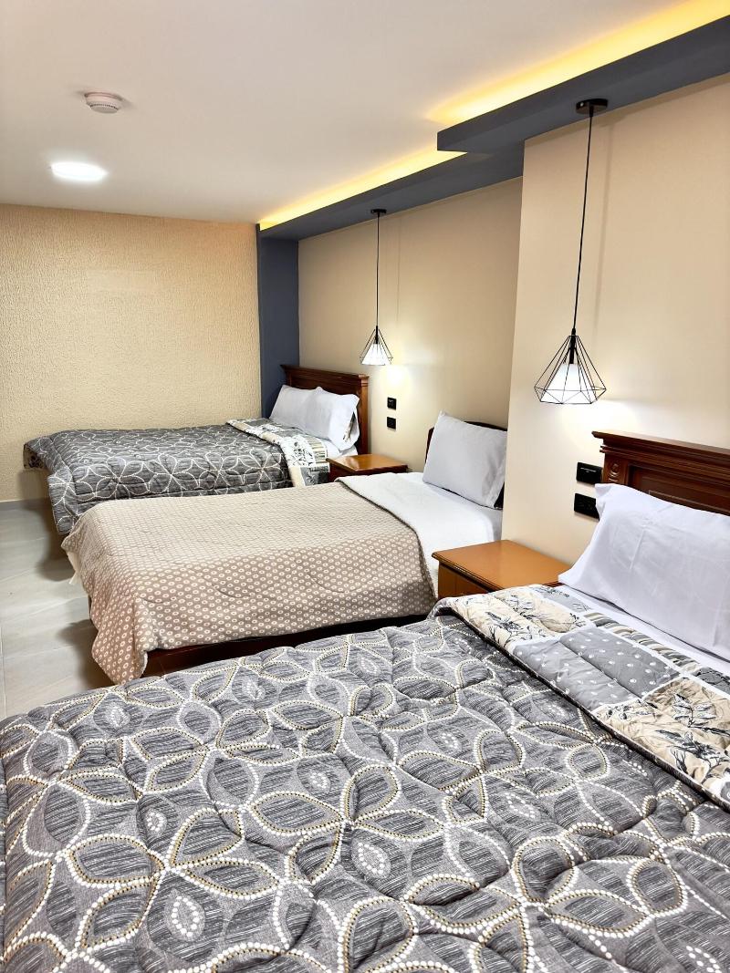 Hostal Niiza image