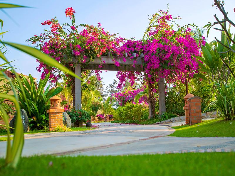 Pandanus Resort image
