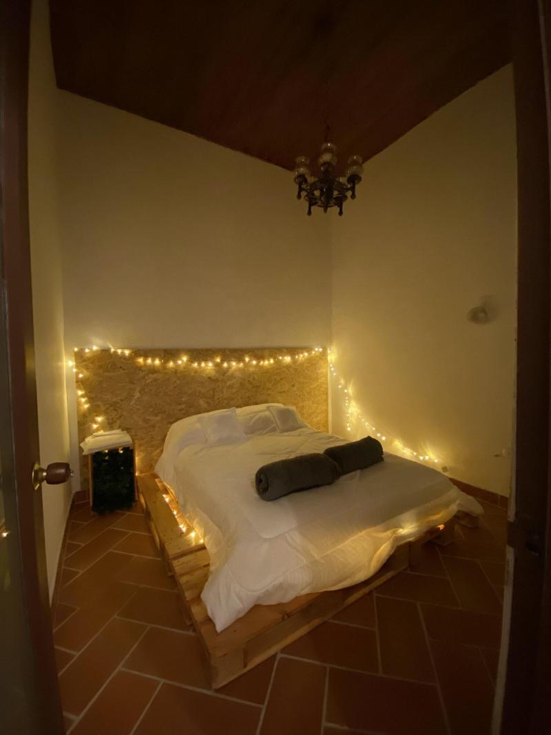 Banana Hostel image
