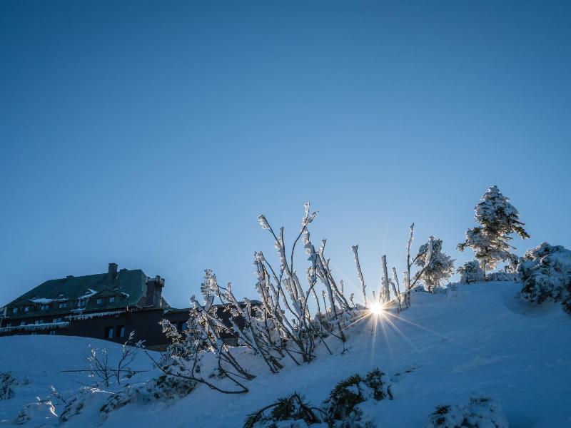 Hotel Bergo Resort Spa image