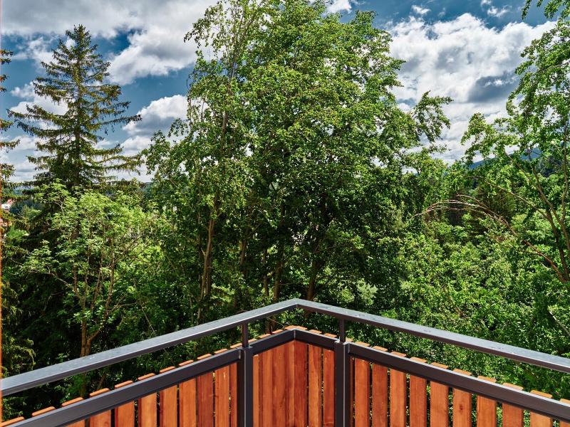 Hotel Bergo Resort Spa image