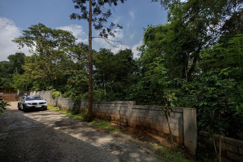 Avadale Thekkady Stag Groups Not Allowed