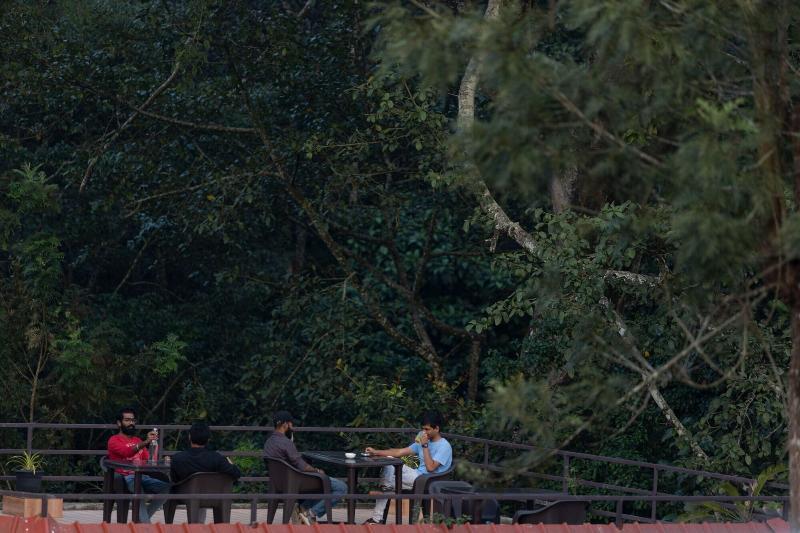 Avadale Thekkady Stag Groups Not Allowed