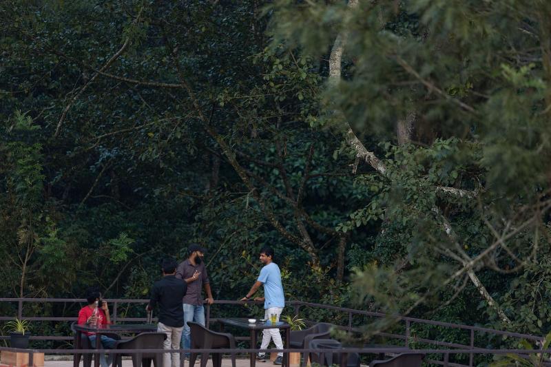 Avadale Thekkady Stag Groups Not Allowed