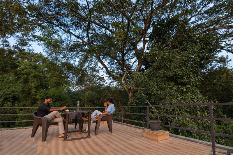 Avadale Thekkady Stag Groups Not Allowed