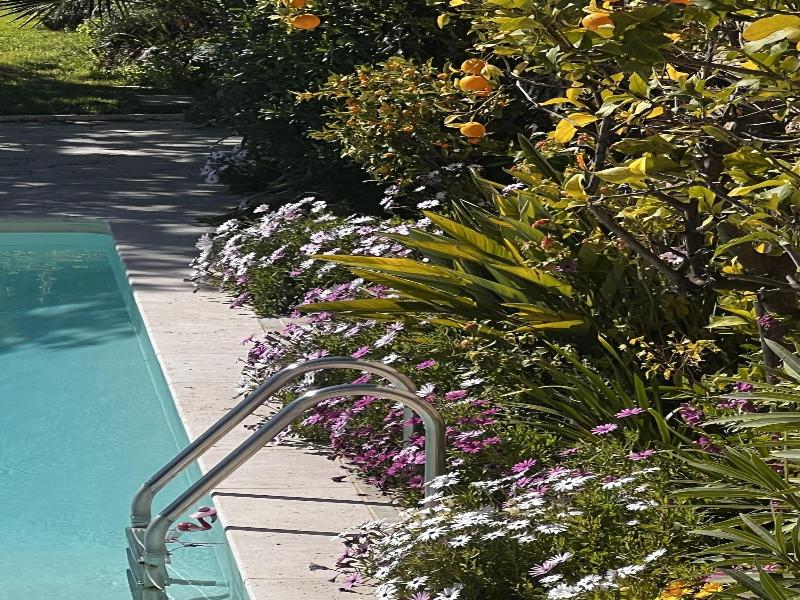 Les Petites Terrasses image