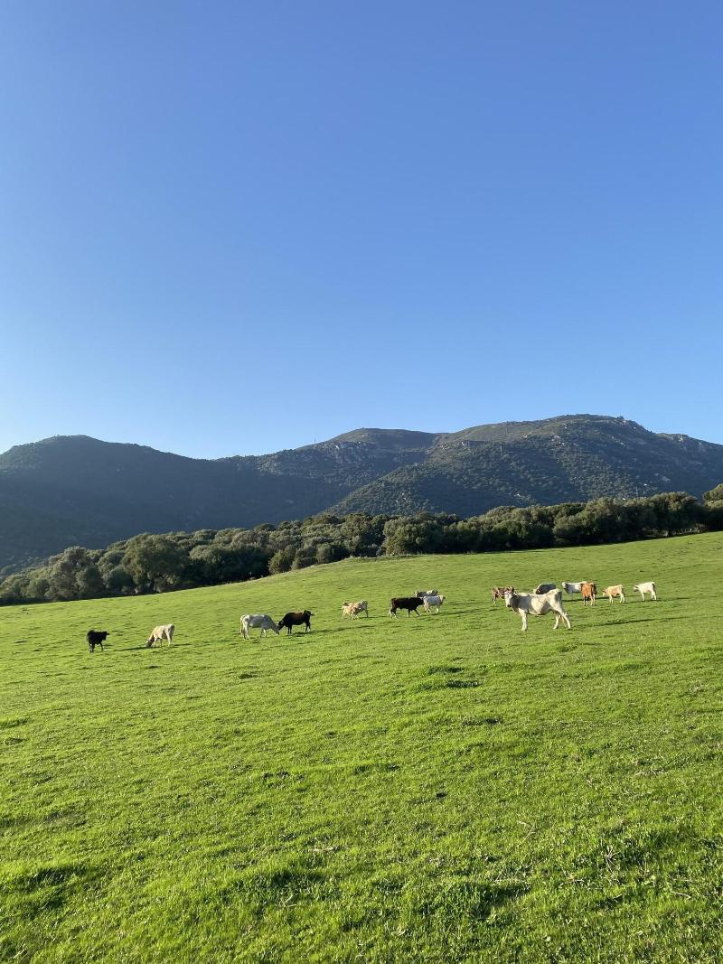 Domaine Machja image