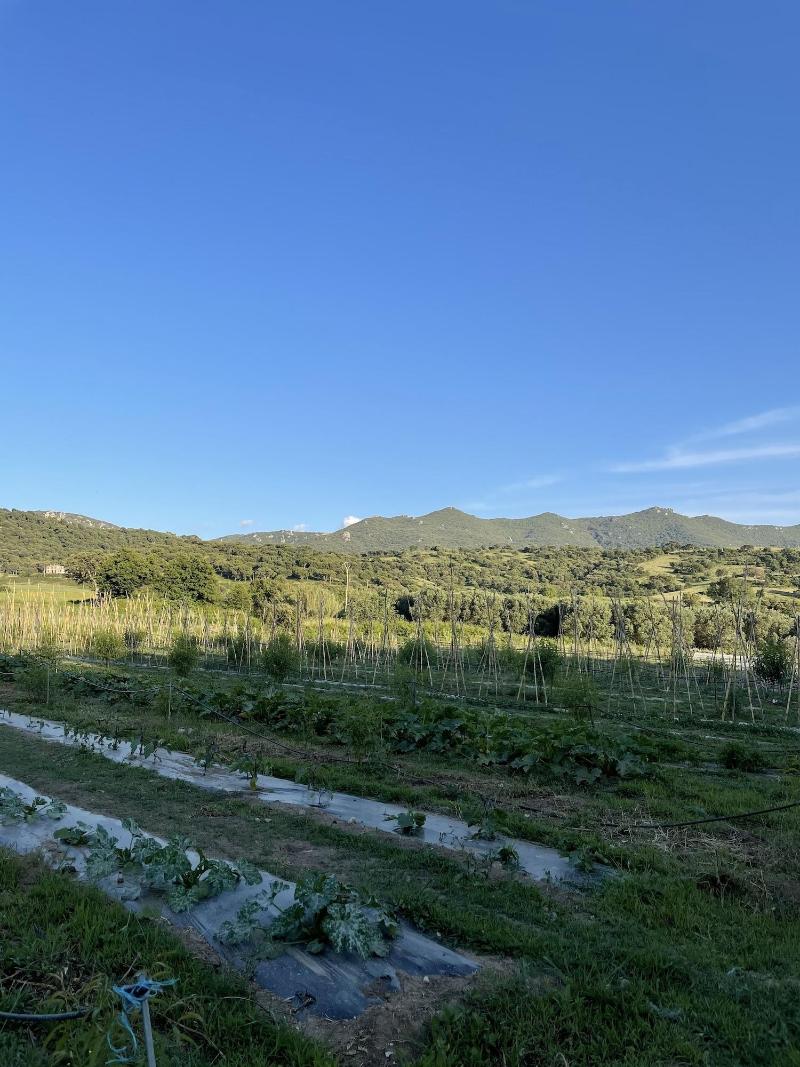 Domaine Machja image