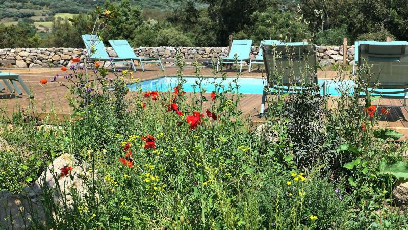 Domaine Machja image
