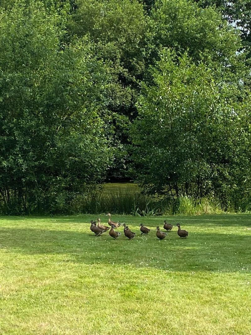 Le Manoir De La Campagne image