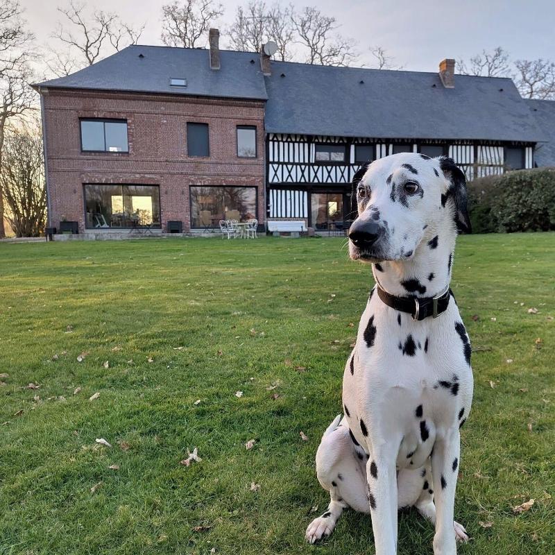 Le Manoir De La Campagne image
