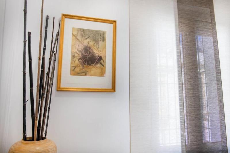 Molucano Themed Rooms image