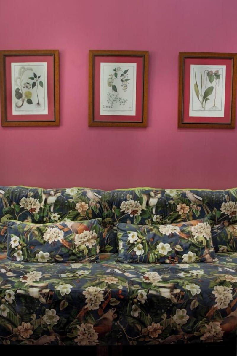 Molucano Themed Rooms image