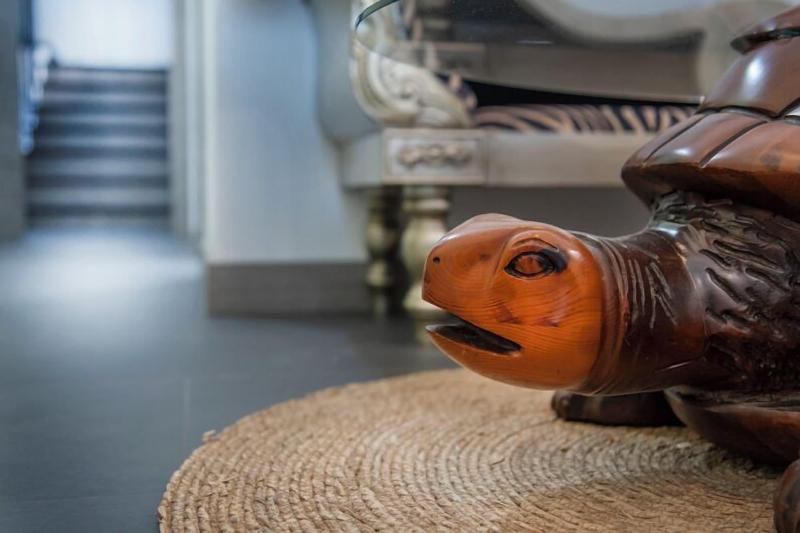 Molucano Themed Rooms image