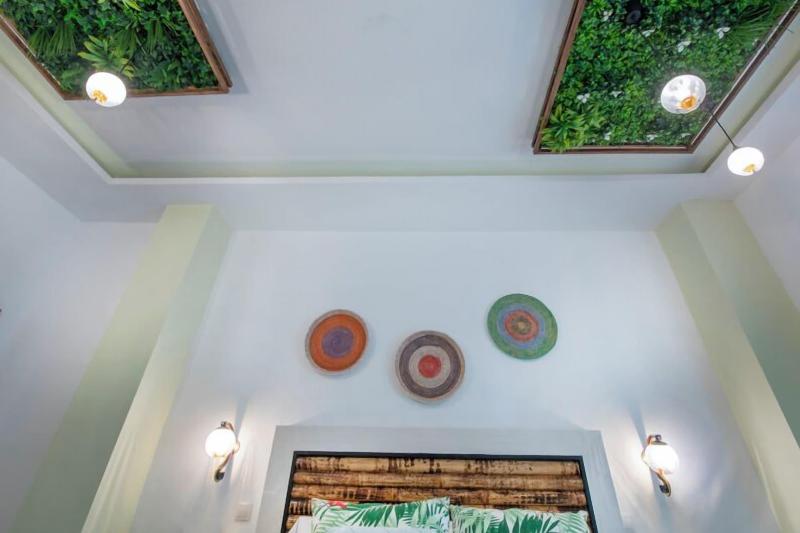 Molucano Themed Rooms image