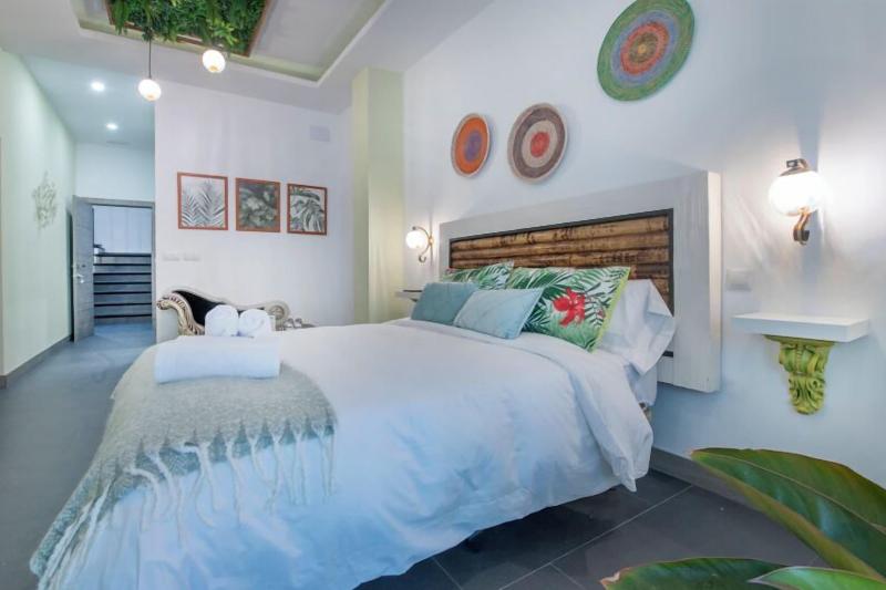 Molucano Themed Rooms image