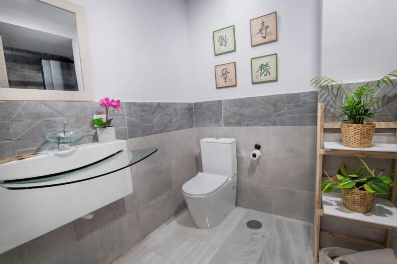 Molucano Themed Rooms image