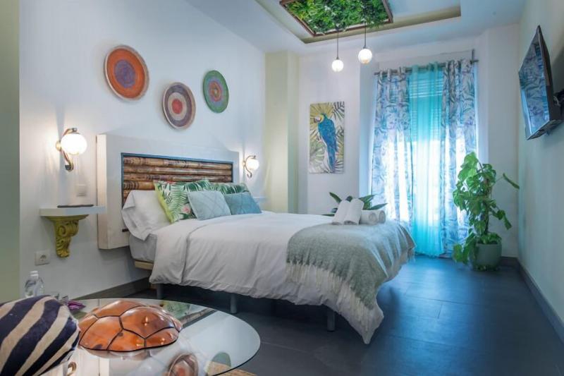 Molucano Themed Rooms image
