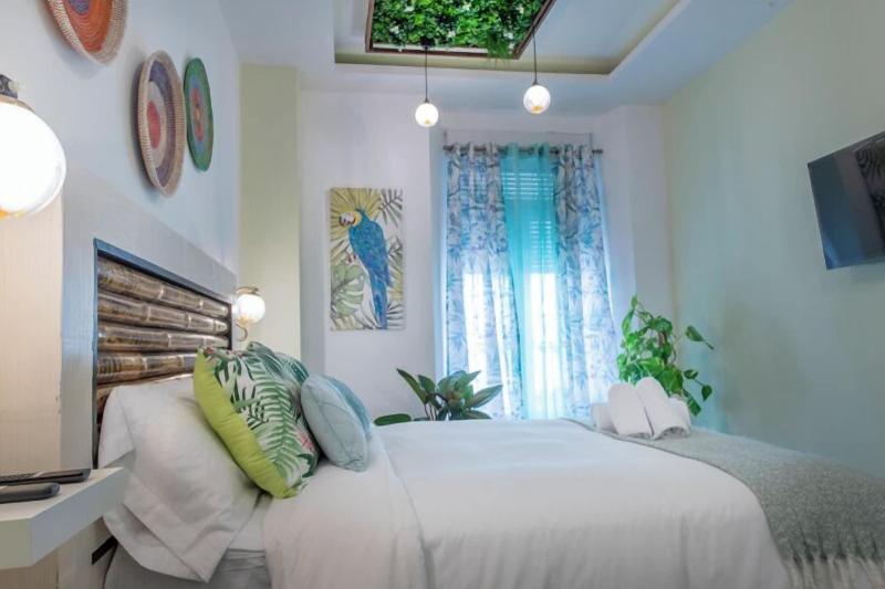 Molucano Themed Rooms image