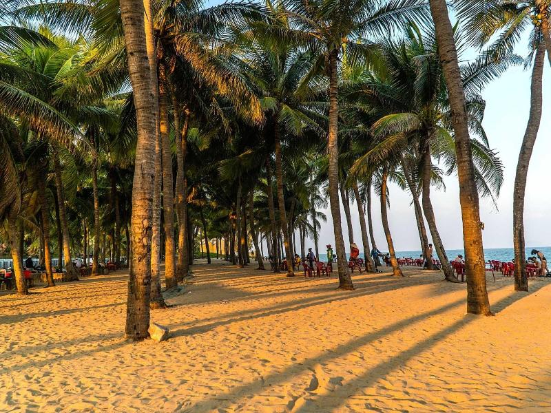 Hotel Front Beach image