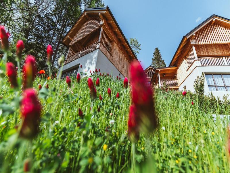 Hideaway Hotel Montestyria Chalets Suiten image