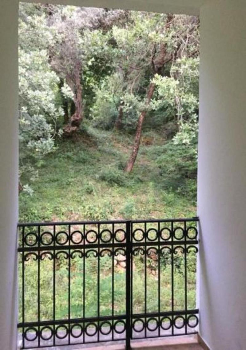 Villa Lutovac image