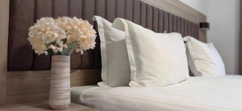 Evelin Deluxe House image