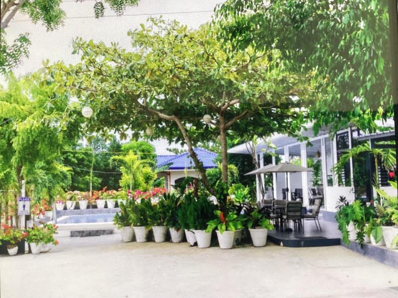Moalboal Casablanca Inn image
