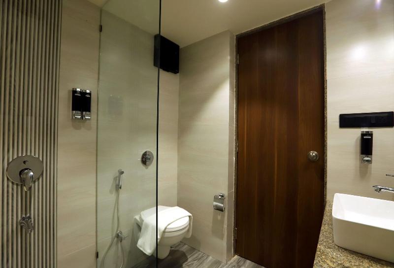 Aralia A Business Hotel Midc image