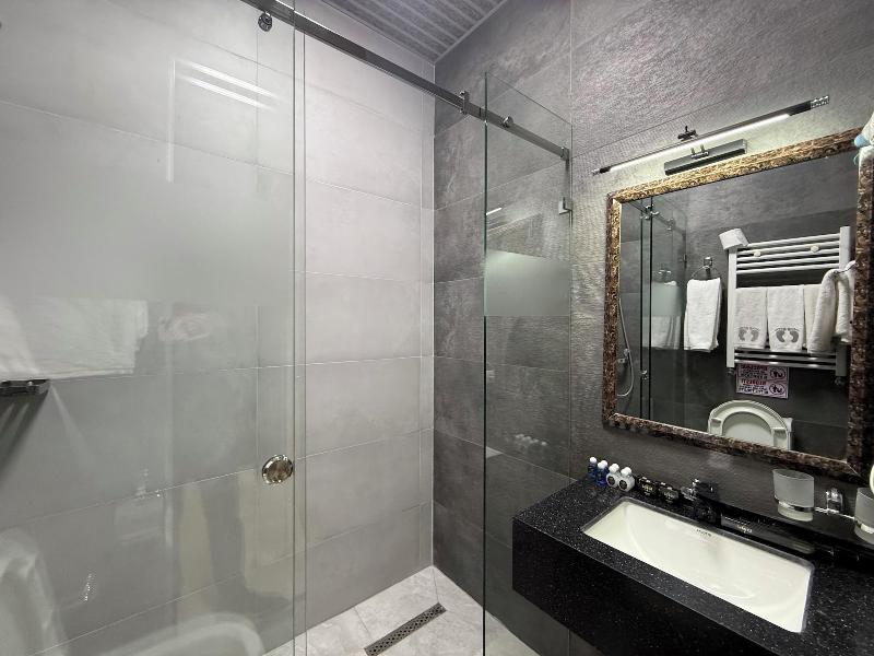 Ideal Hotel image