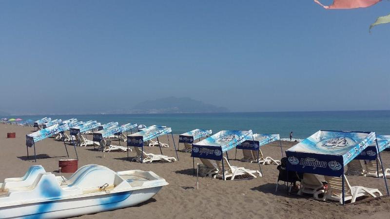 Syphax Tichy Plage image