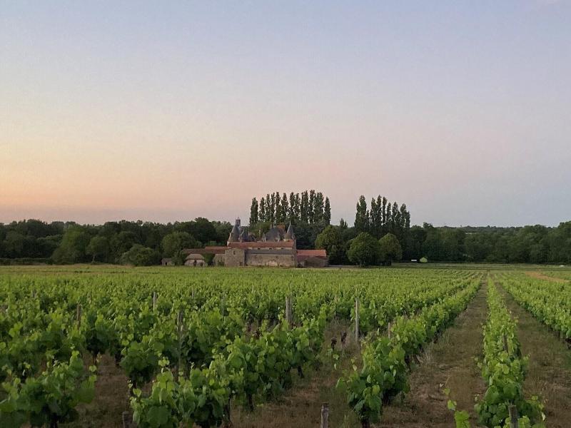 Cha Teau De La Preuille image