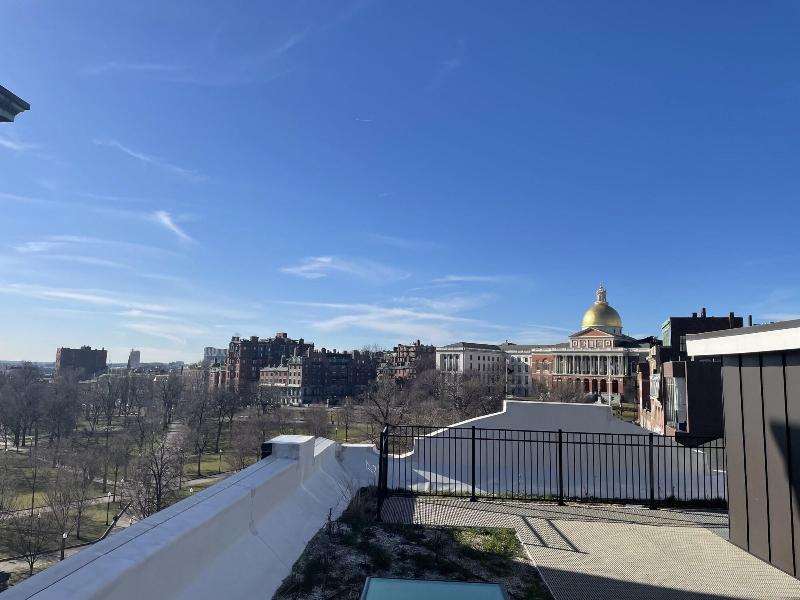 The Monty Boston image