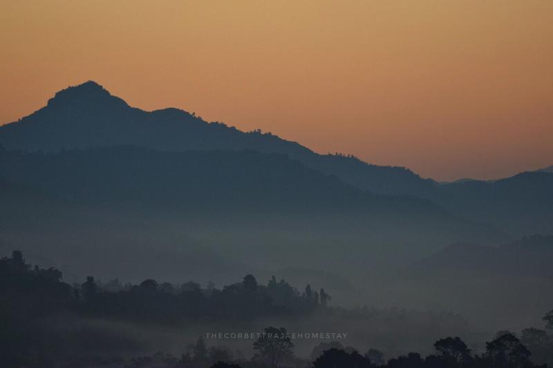 The Corbett Rajae Homestay image