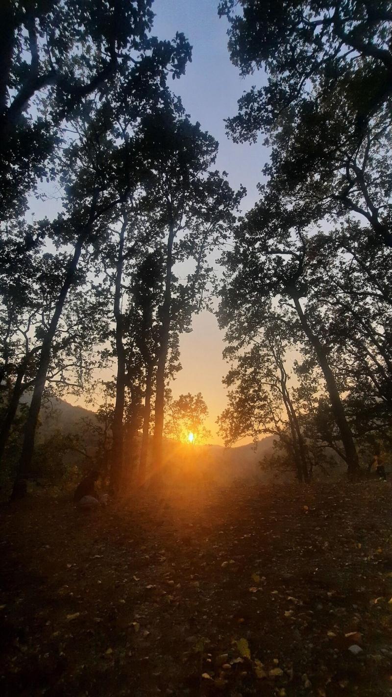 The Corbett Rajae Homestay image