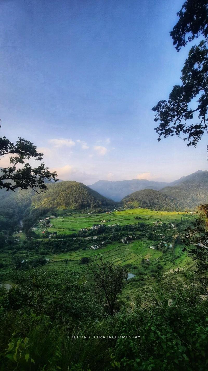 The Corbett Rajae Homestay image