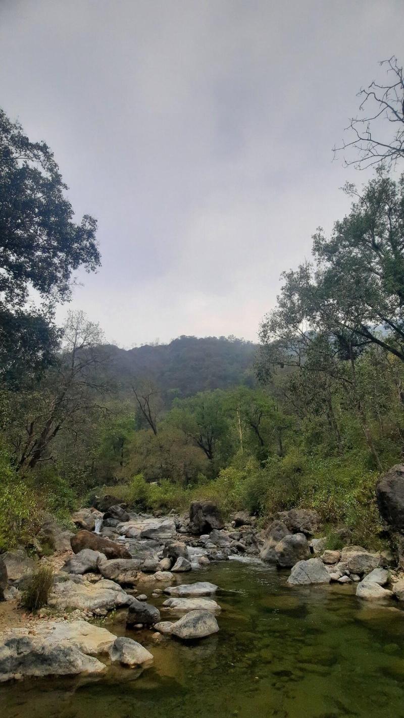 The Corbett Rajae Homestay image
