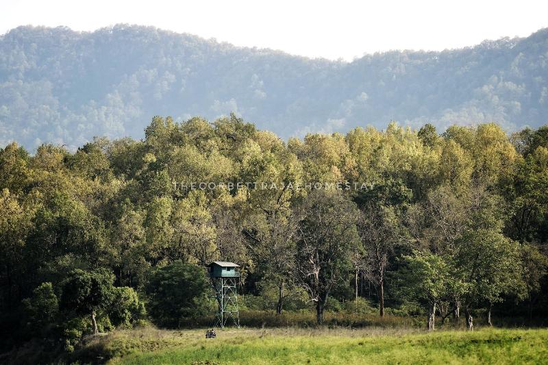 The Corbett Rajae Homestay image