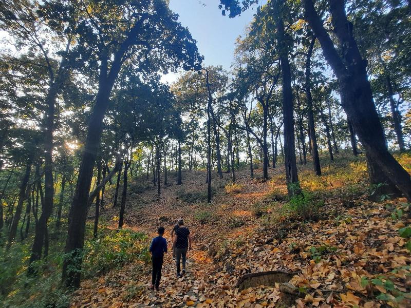 The Corbett Rajae Homestay image