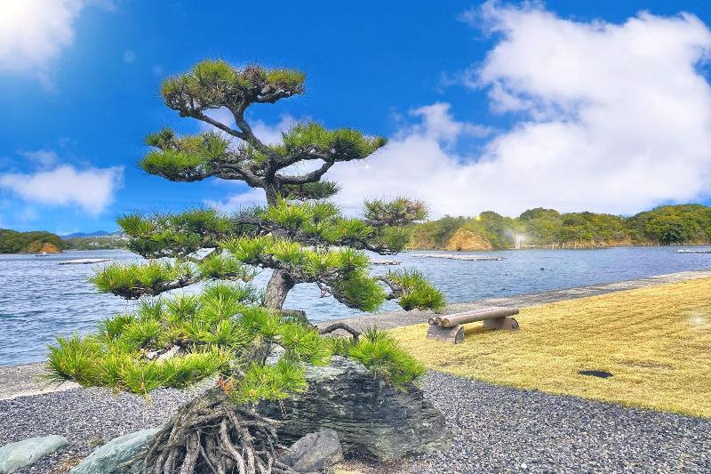Moku Iseshima — general view