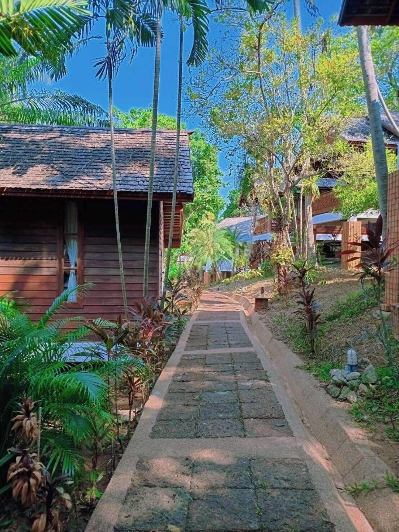 Samui Wooden Hill image