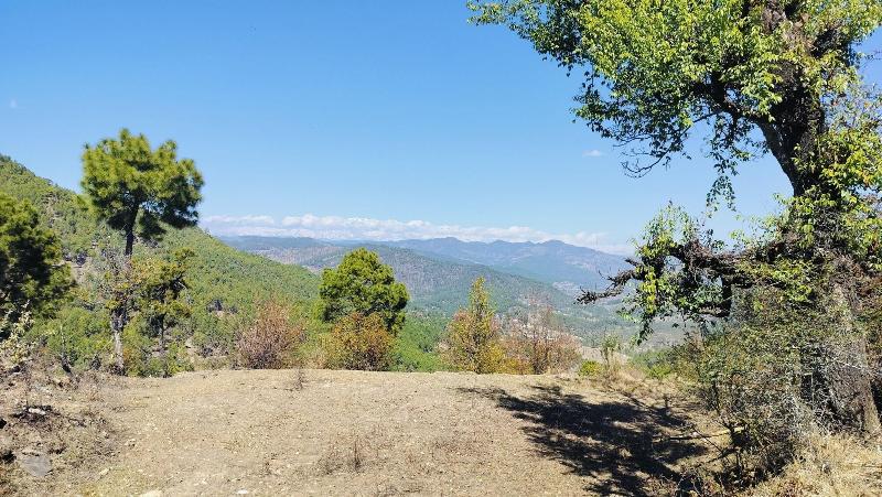 Adaara Retreat — photo 7