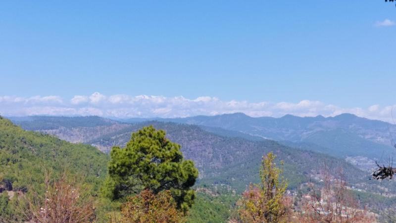 Adaara Retreat — photo 30
