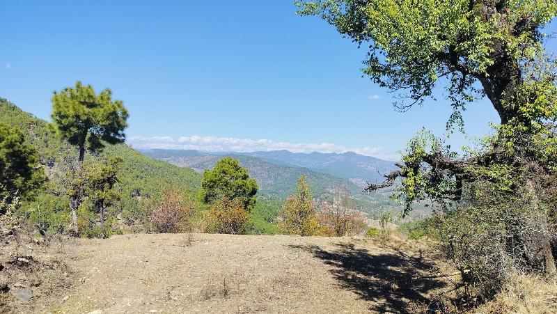 Adaara Retreat — photo 82